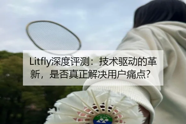 Litfly深度评测：技术驱动的革新，是否真正解决用户痛点？