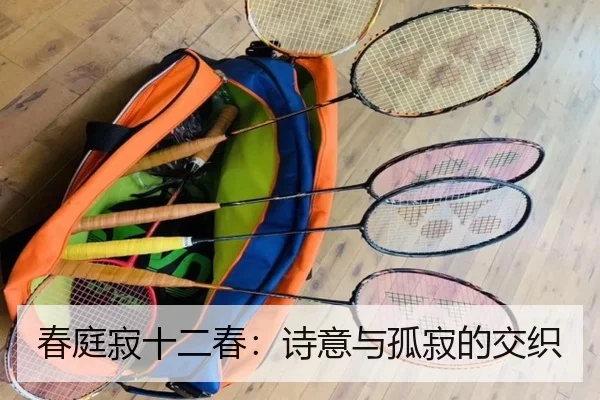 春庭寂十二春：诗意与孤寂的交织